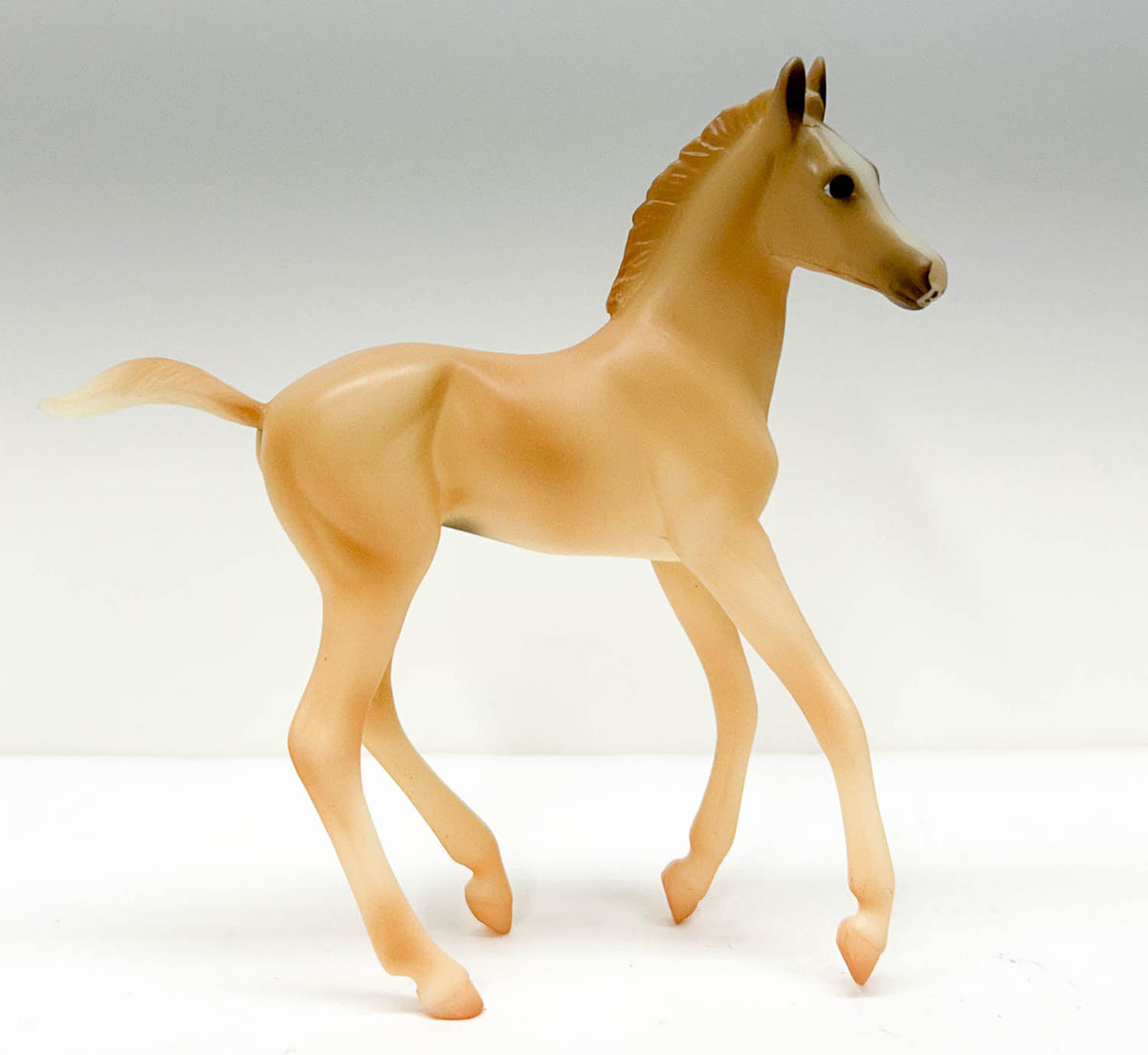 Morgan Foal ~ Cloud's Encore