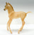 Morgan Foal ~ Cloud's Encore