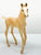 Morgan Foal ~ Cloud's Encore