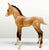 Mustang Foal ~ Sundance - Walmart SR