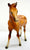 Quarter Horse Foal, Chestnut - VARIATION: Solid Face