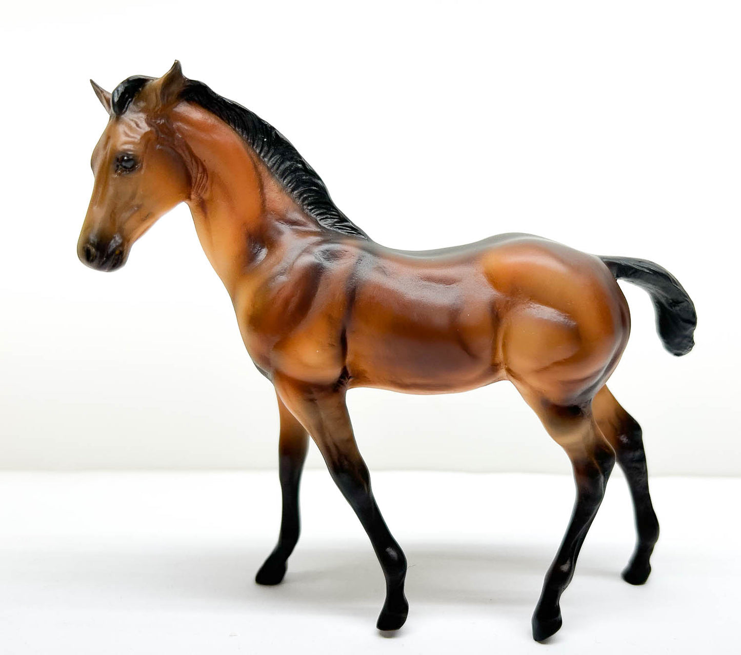 Quarter Horse Foal, Dark Bay Dun