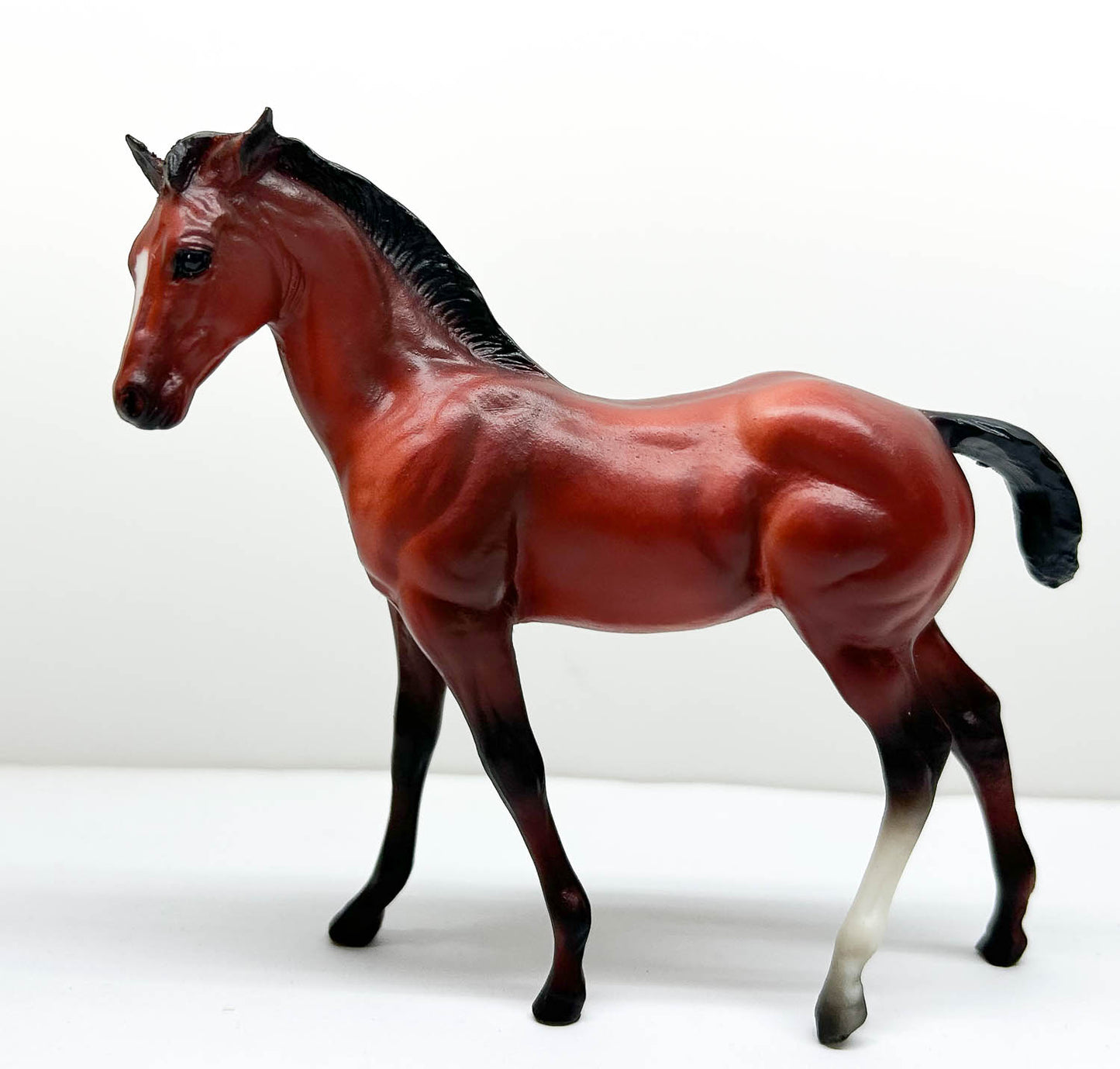 Quarter Horse Foal ~ Naldo - Walmart SR