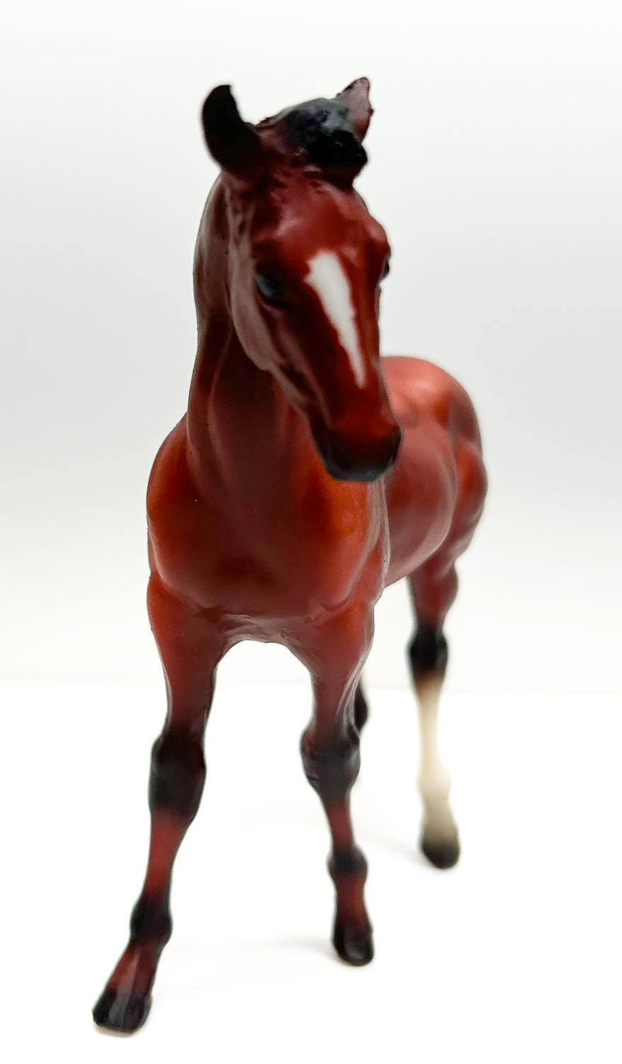 Quarter Horse Foal ~ Naldo - Walmart SR