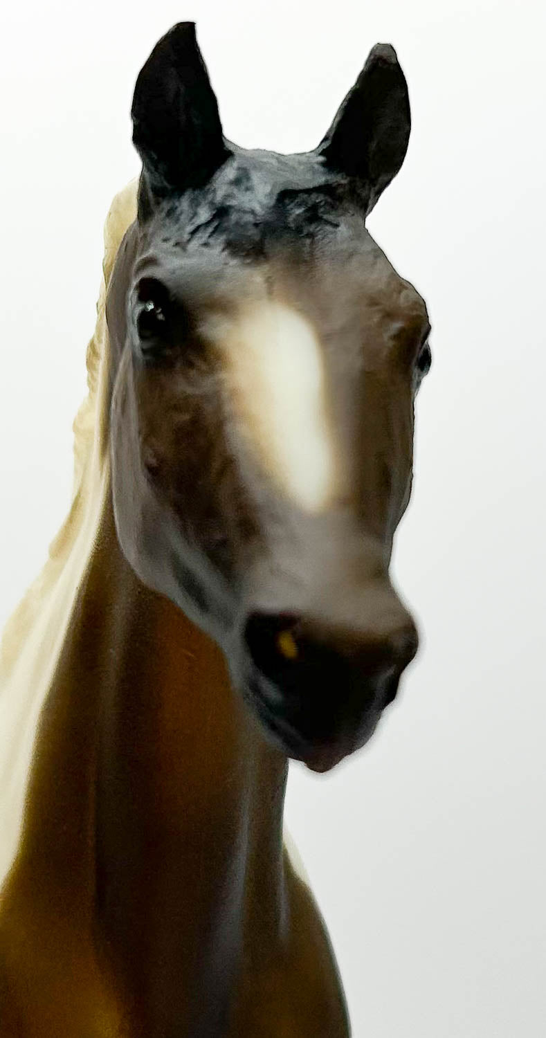 Ruffian ~ Patches - B-Ranch Series, w/ Rosette