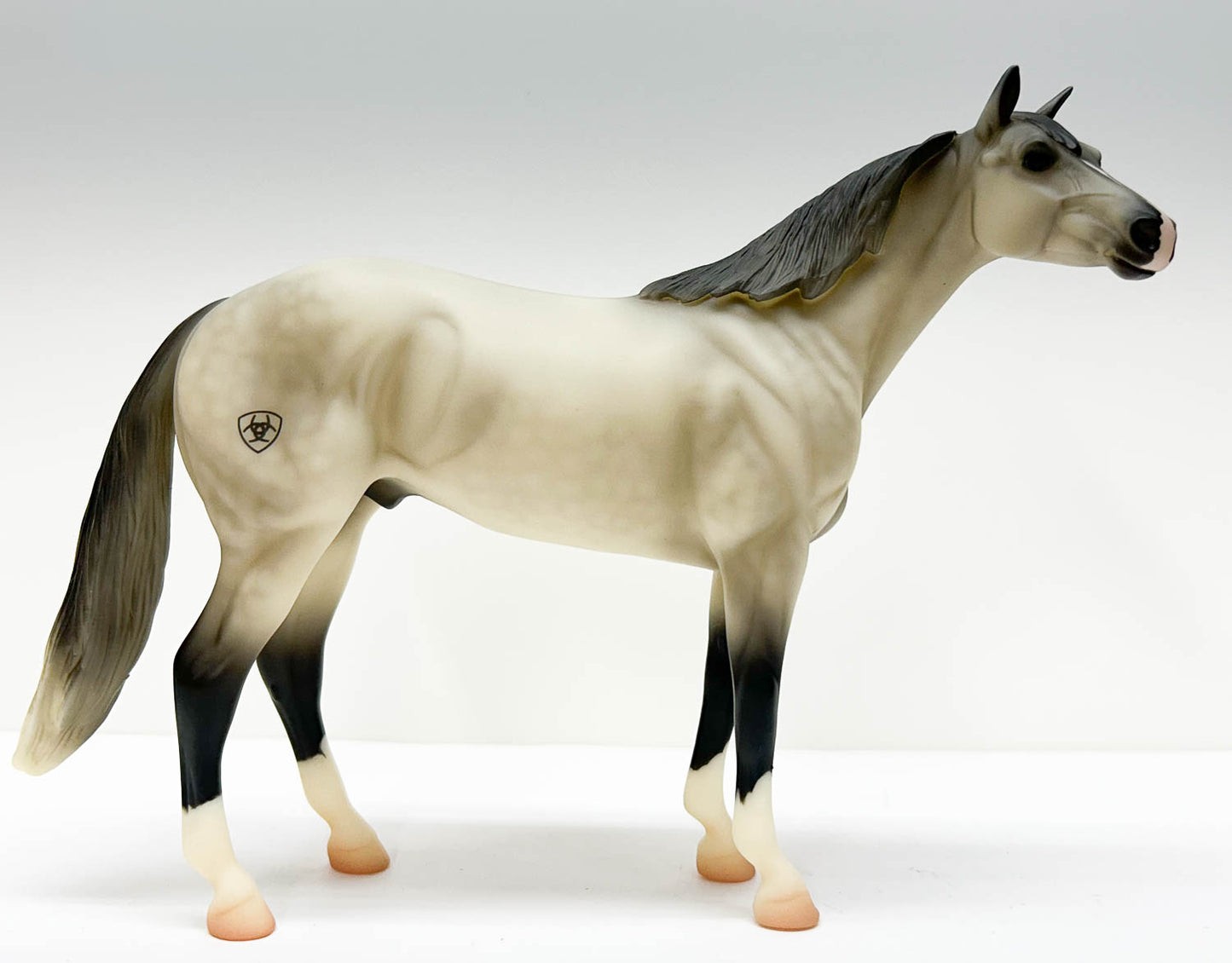 Show Stock Horse ~ Ariat - Ariat SR
