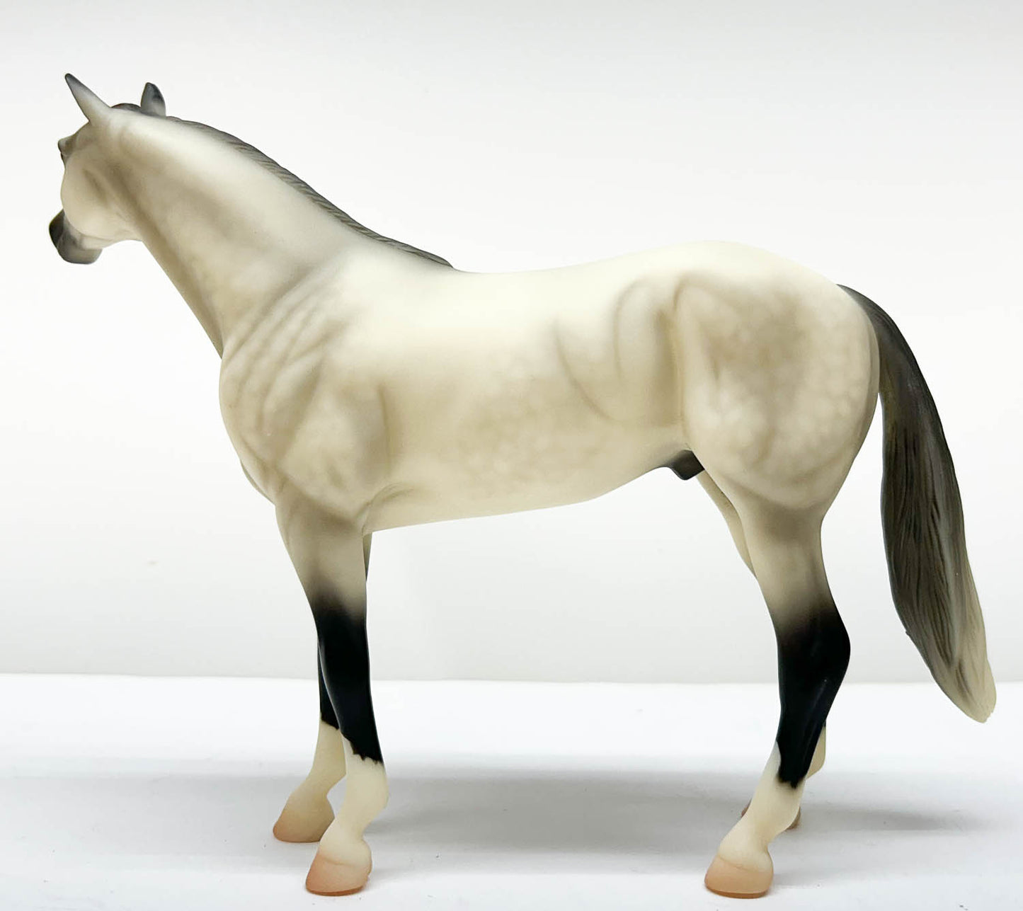 Show Stock Horse ~ Ariat - Ariat SR