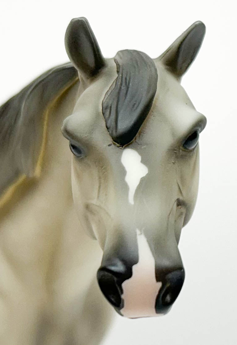 Show Stock Horse ~ Ariat - Ariat SR