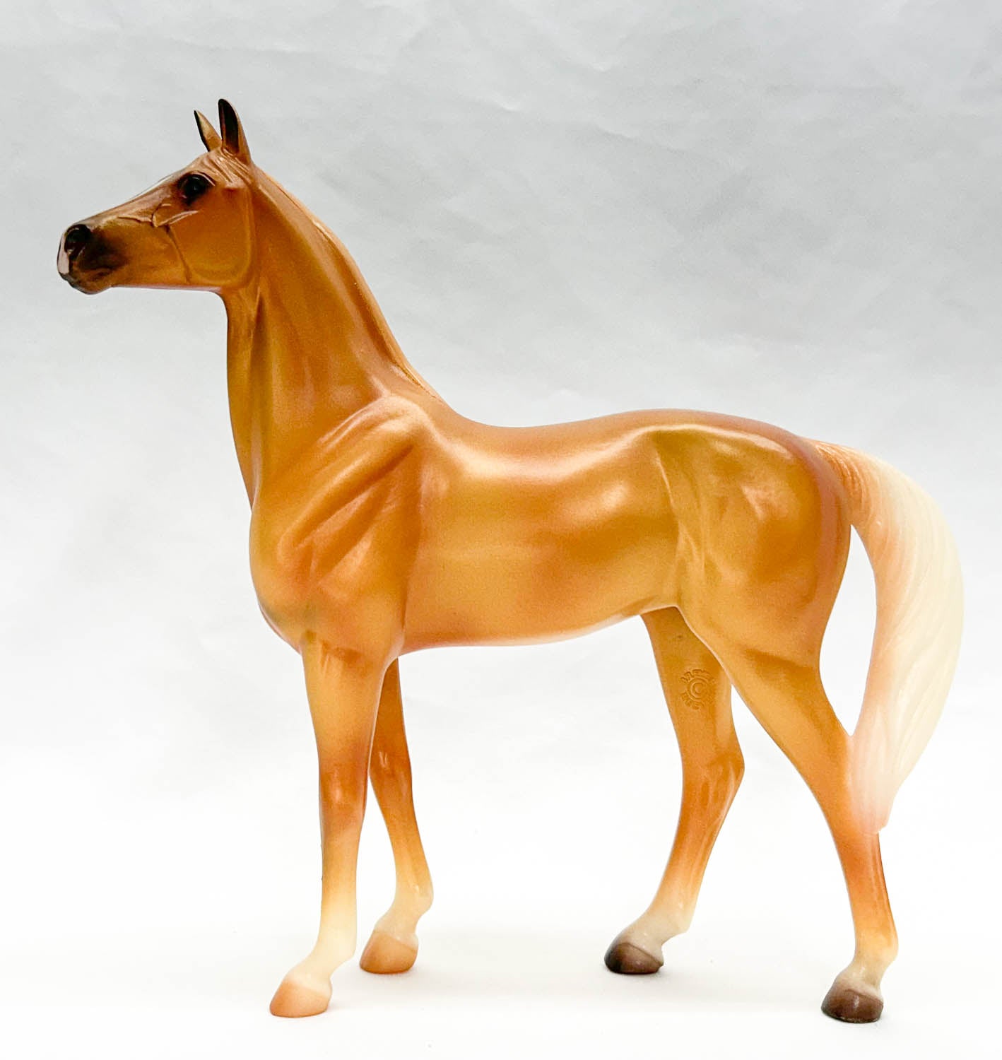 Standing Thoroughbred ~ Amelia, Appendix Quarter Horse - 2014 Horse of the Year