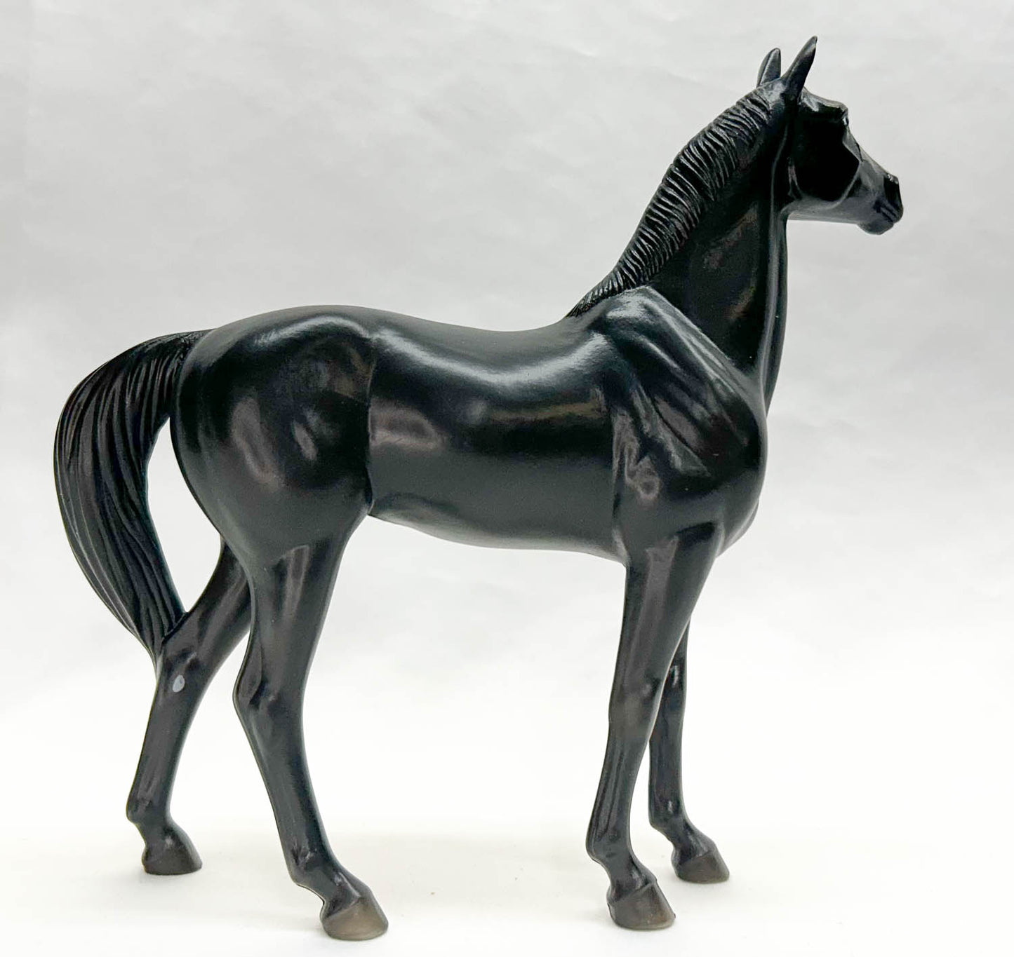 Standing Thoroughbred ~ Black Jack
