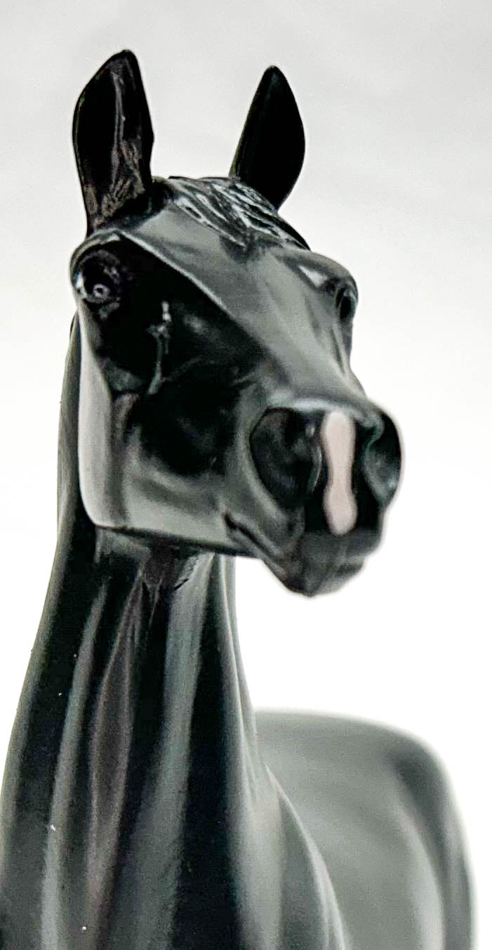 Standing Thoroughbred ~ Black Jack