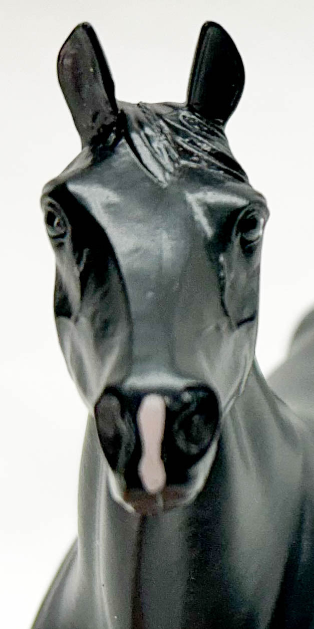 Standing Thoroughbred ~ Black Jack