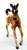 Trotting Stock Horse Foal, Chestnut Appaloosa from Prince Plaudit Family