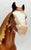 Clydesdale Mare ~ Pepper - Breyerfest 2019 SR