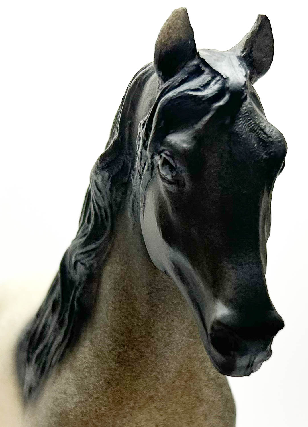 El Pastor, Blue Roan