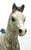 Family Arabian Foal ~ Spirit of the Wind - 1991 Sears SR