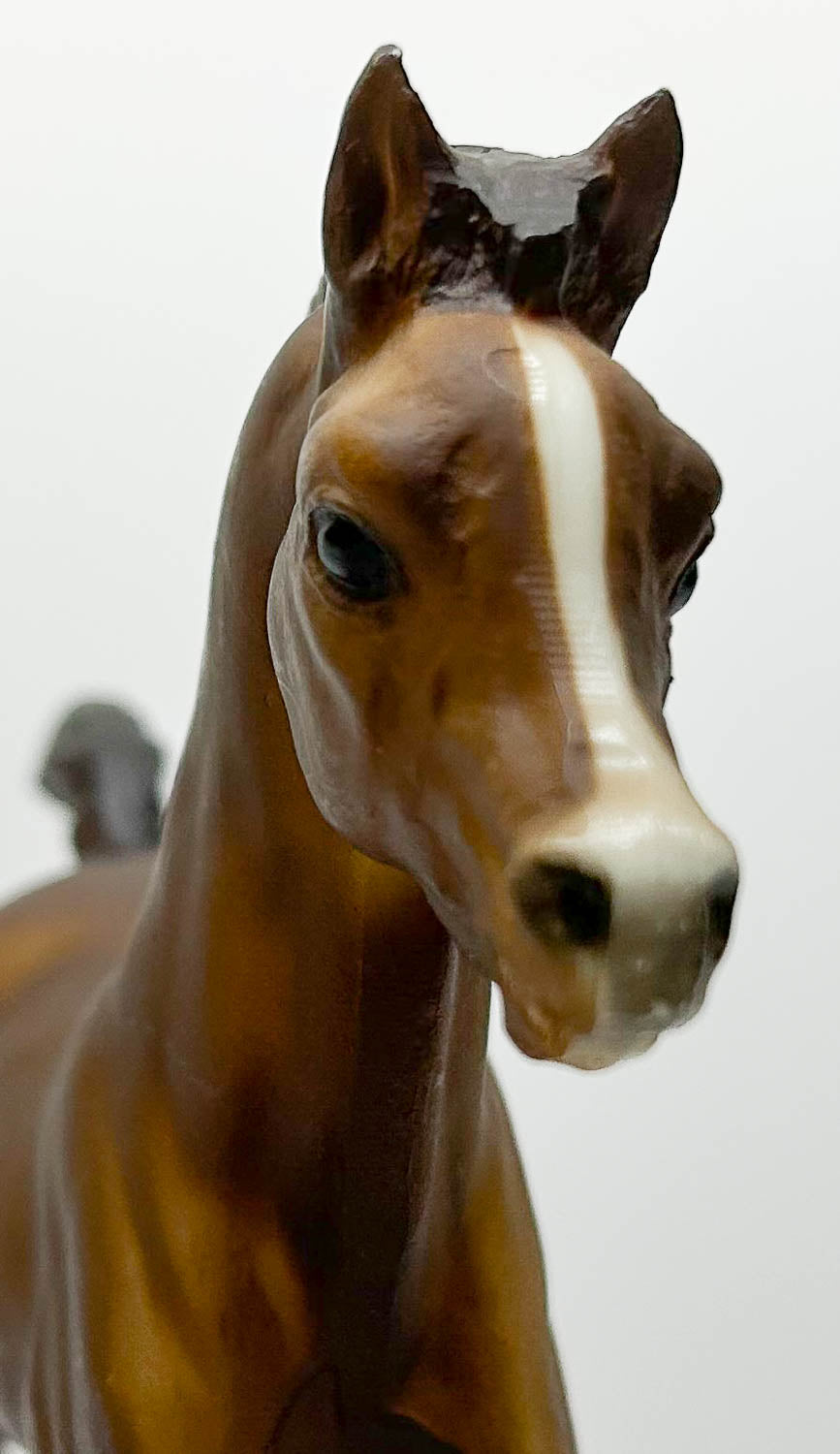 Family Arabian Foal, Liver Chestnut with Stripe ~ 1982 JC Penney SR