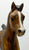 Family Arabian Foal, Liver Chestnut with Stripe ~ 1982 JC Penney SR