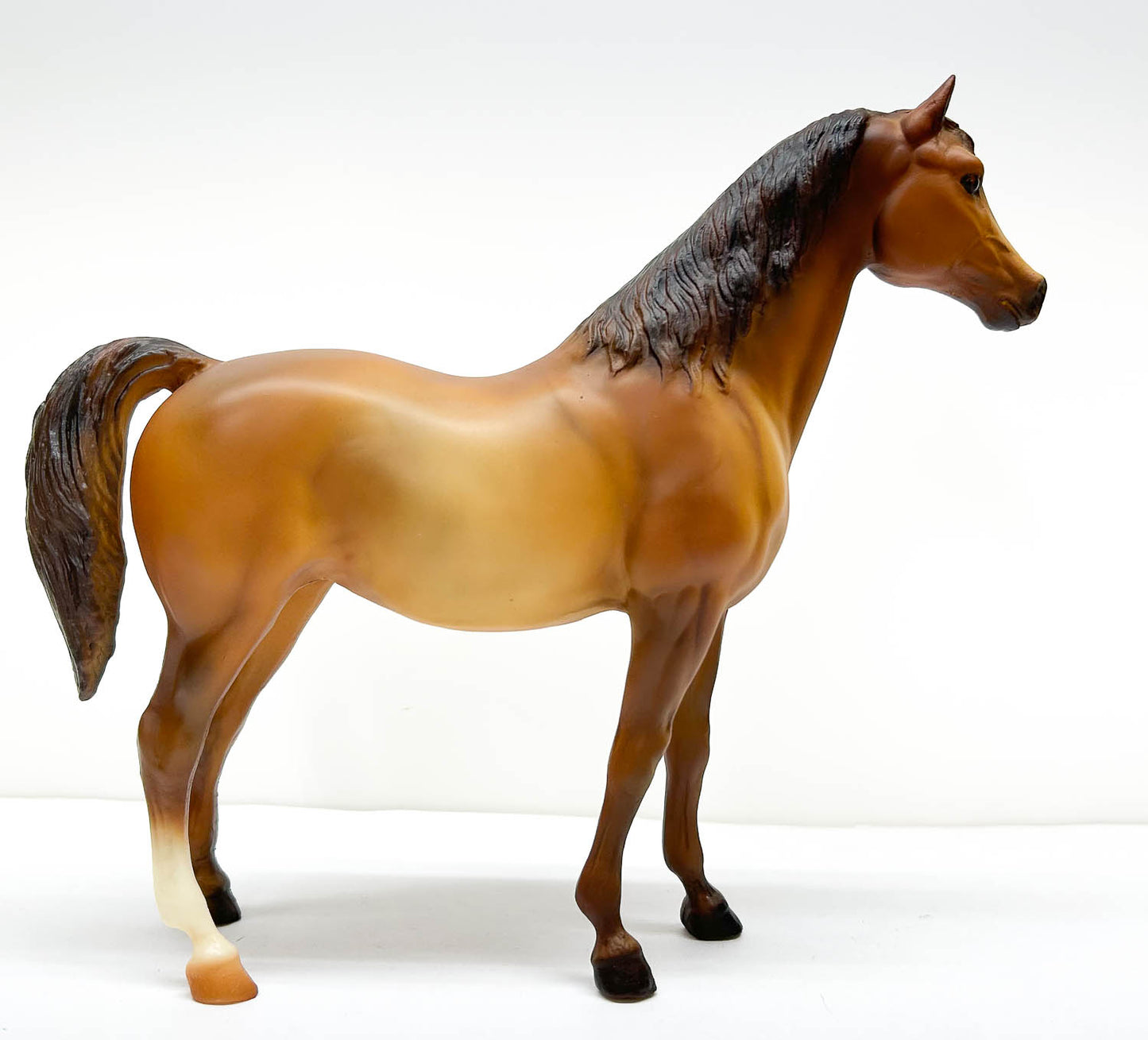 Family Arabian Mare ~ Galena - Bi-Eyed Version