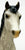 Family Arabian Mare ~ Spirit of the Wind - 1991 Sears SR