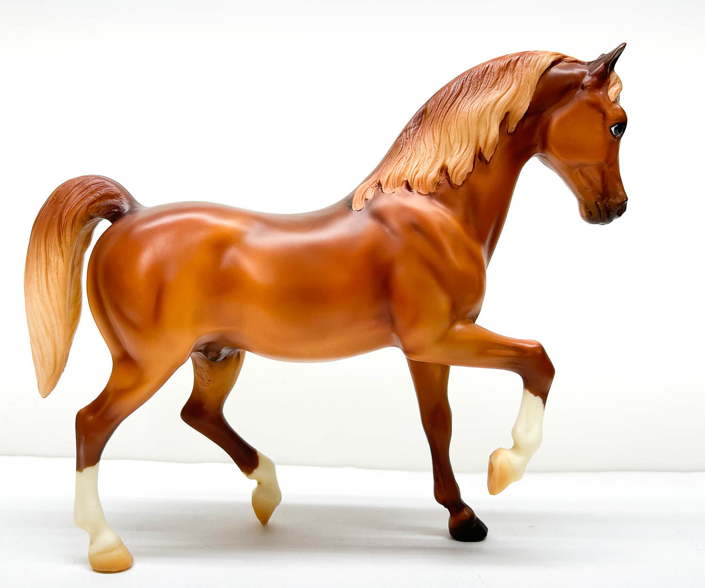 Family Arabian Stallion ~ Azhar