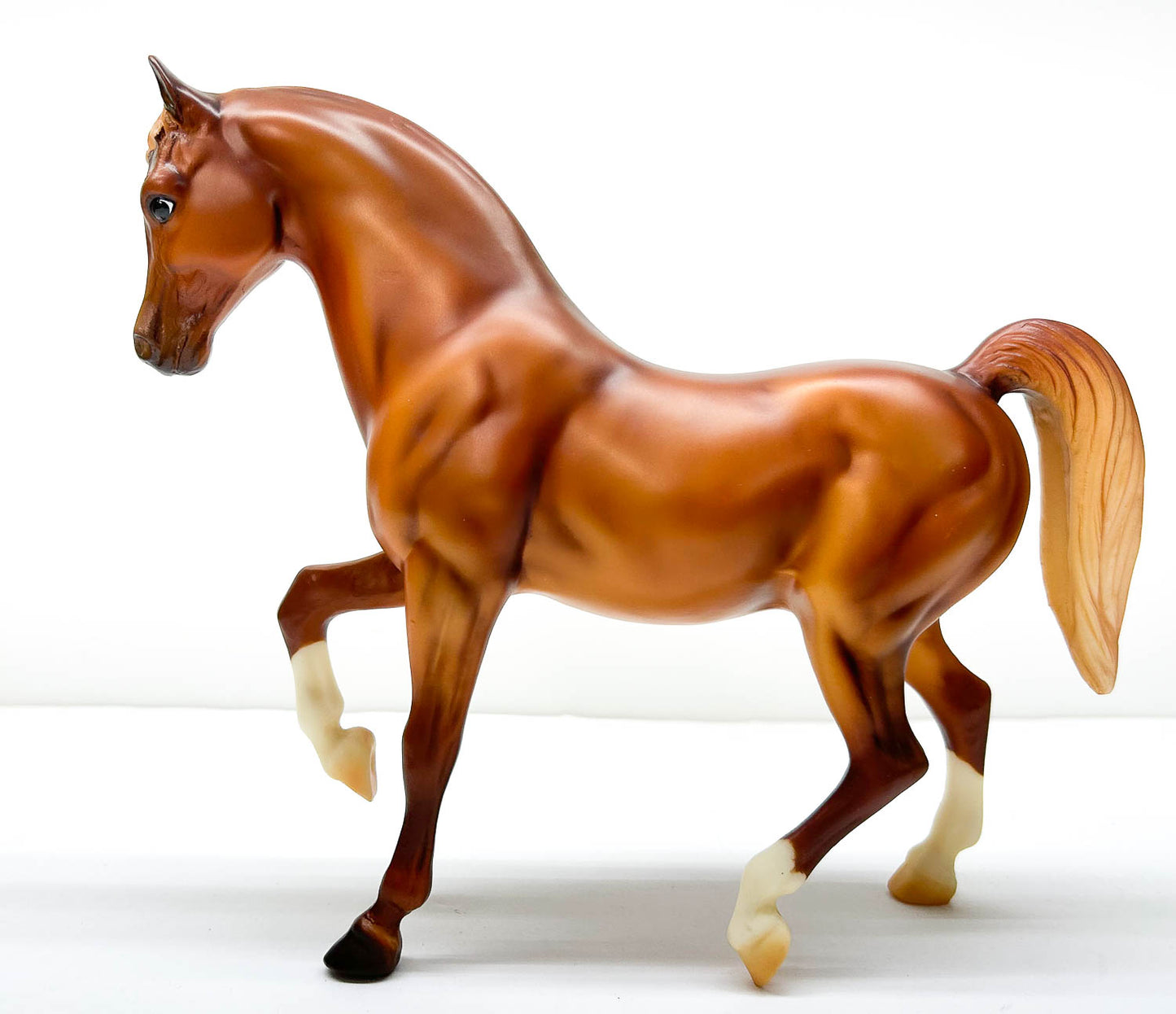 Family Arabian Stallion ~ Azhar