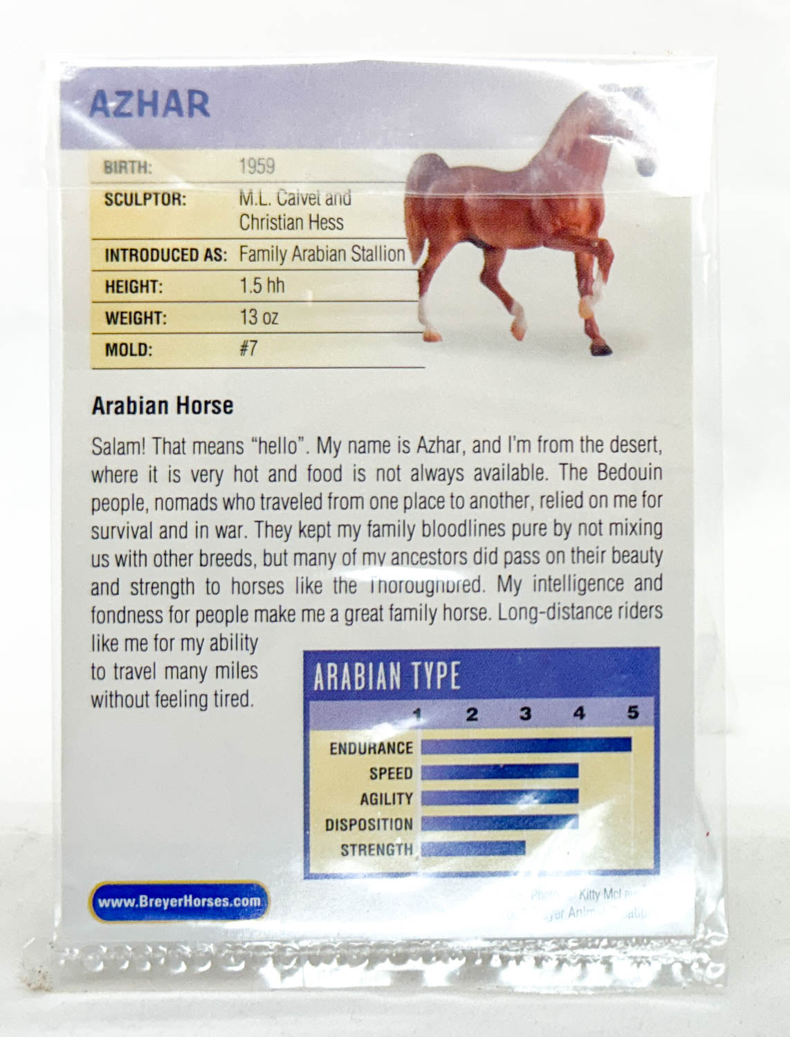 Family Arabian Stallion ~ Azhar