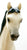 Family Arabian Stallion, Black-Point Alabaster - 1991 Sears SR