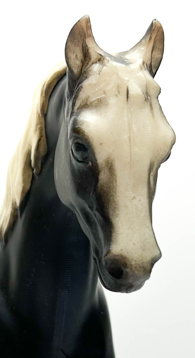 Family Arabian Stallion ~ Hickory - Charcoal, Matte