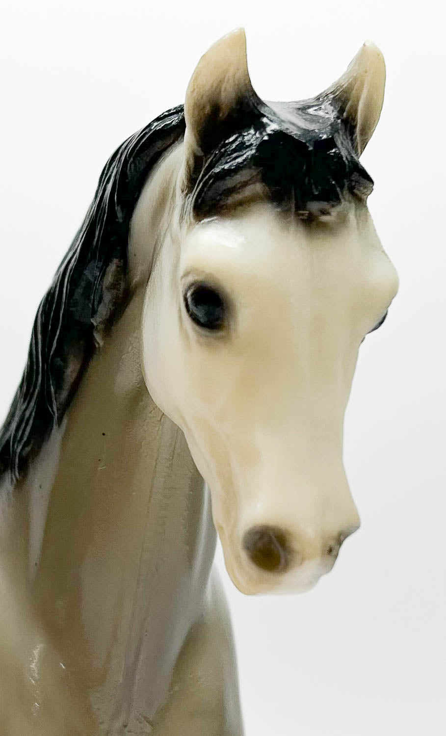 Family Arabian Stallion ~ Fleck, Grey Appaloosa - Glossy