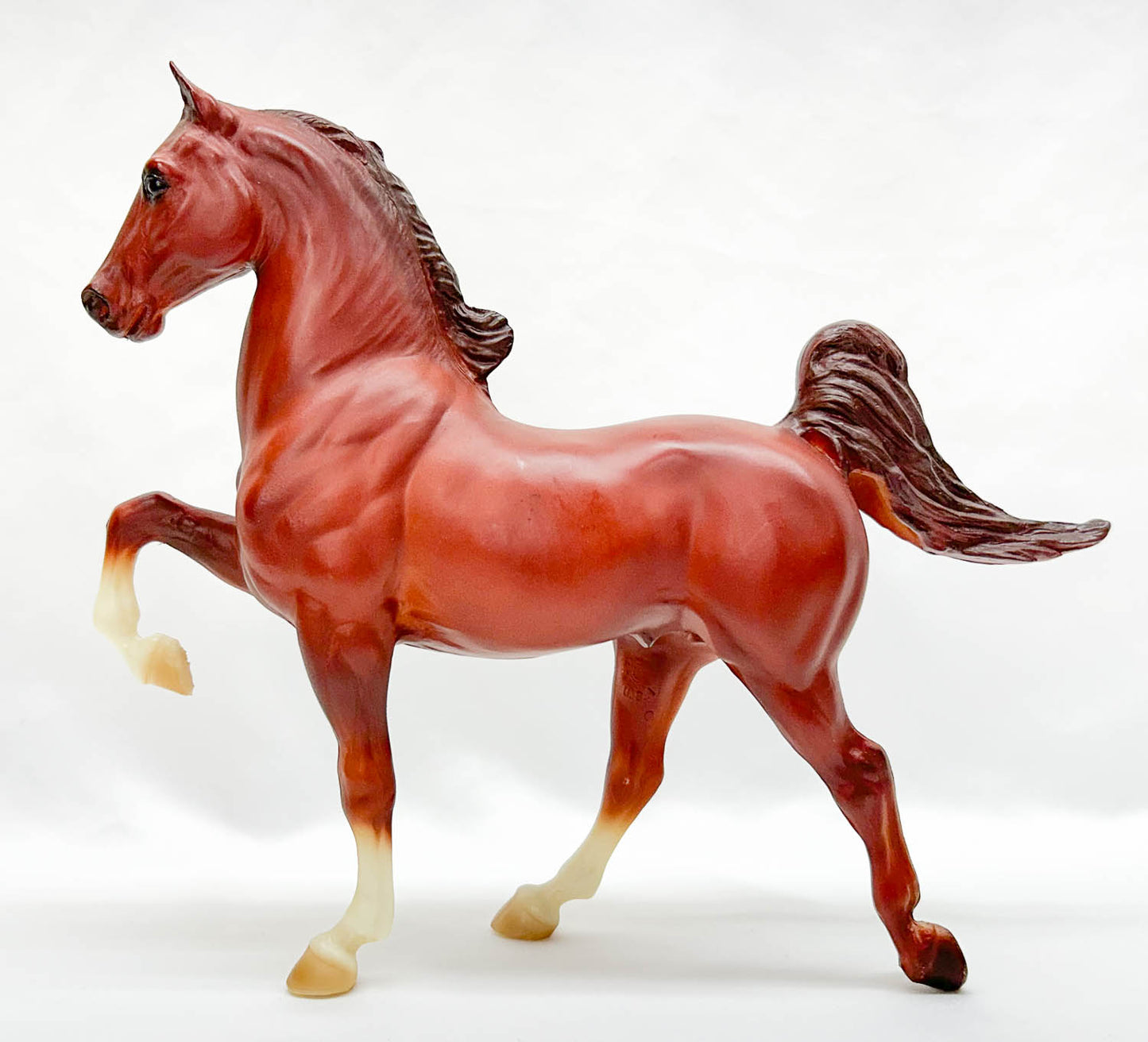 Five Gaiter ~ Kentucky Saddlebred