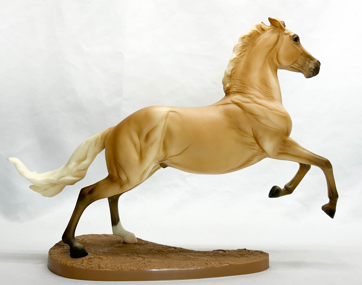 Wyatt ~ Jesse - TSC SR