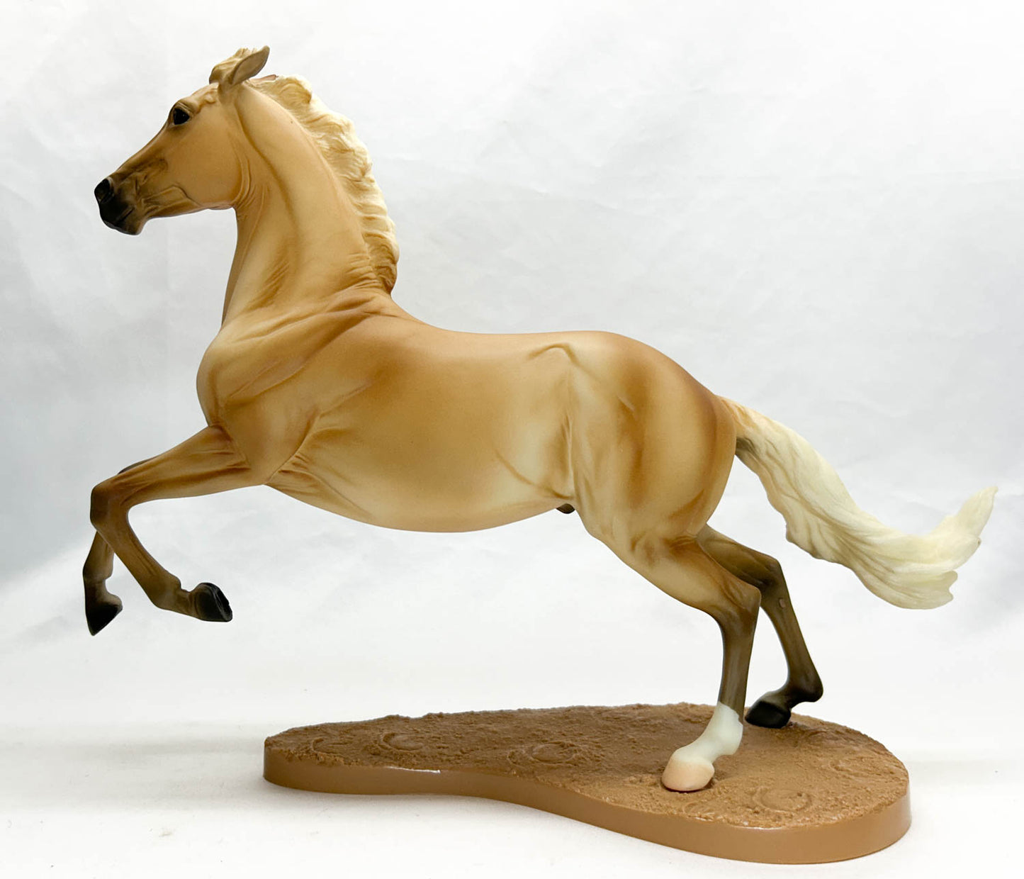 Wyatt ~ Jesse - TSC SR