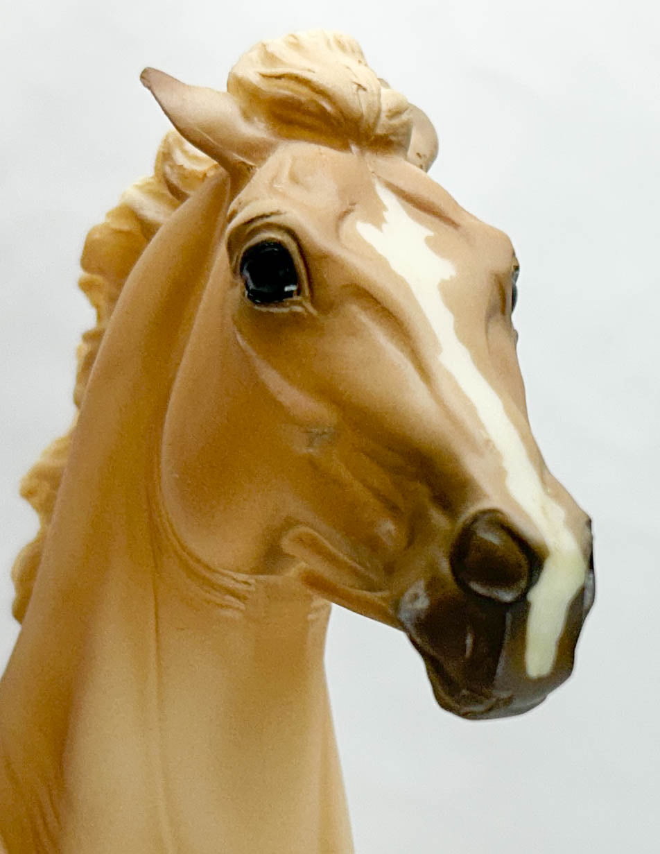 Wyatt ~ Jesse - TSC SR