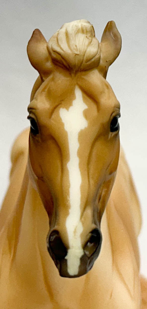 Wyatt ~ Jesse - TSC SR