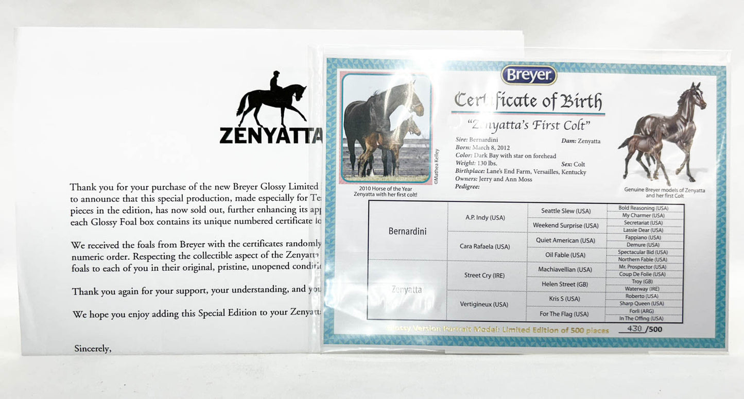 CHRISTMAS AUCTION: Gilen ~ Zenyatta's First Foal - GLOSSY w/ COA and Letter