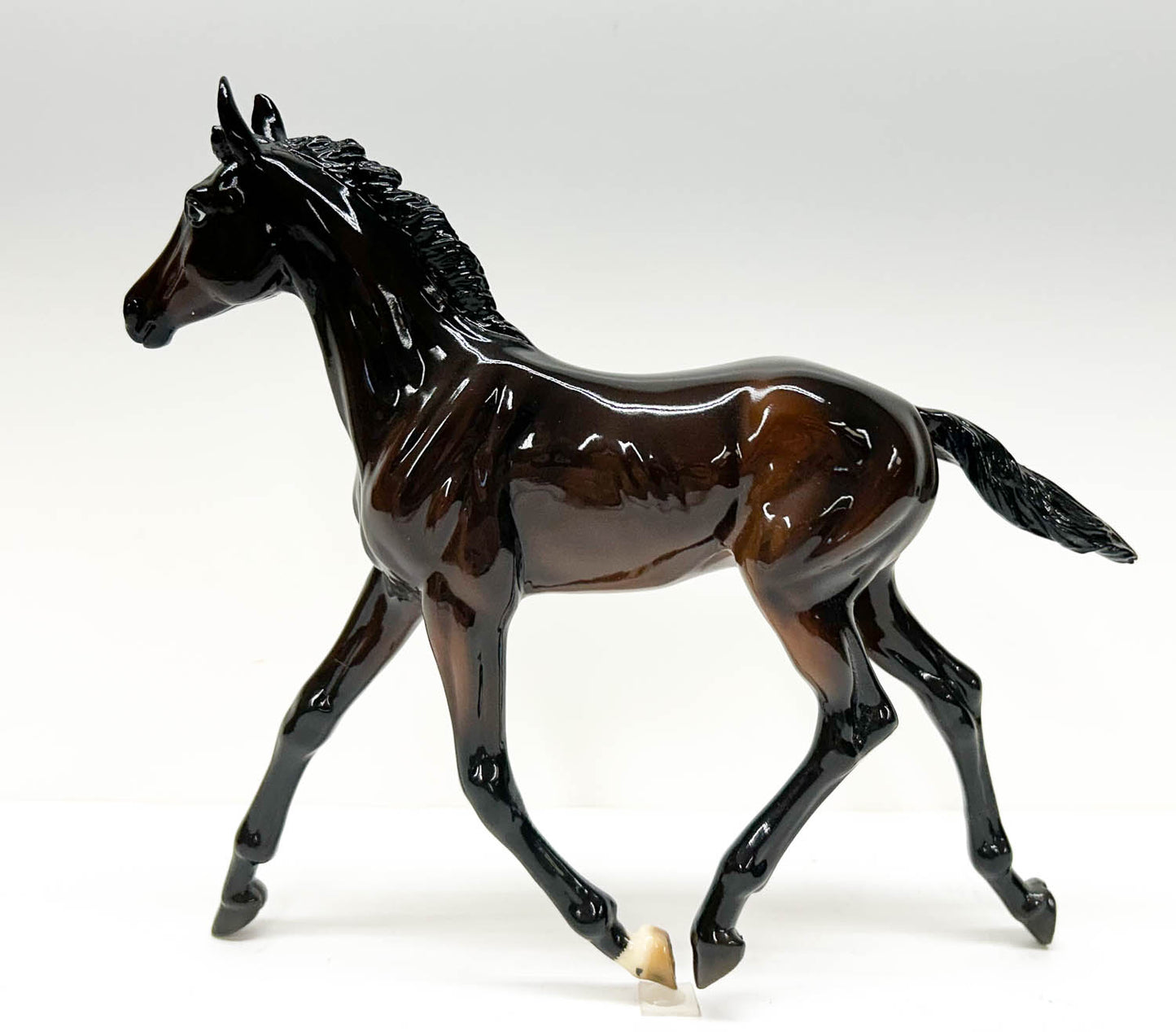 CHRISTMAS AUCTION: Gilen ~ Zenyatta's First Foal - GLOSSY w/ COA and Letter