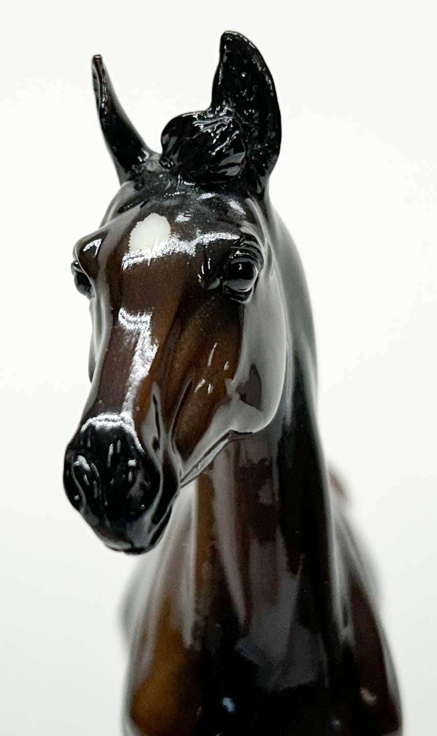 CHRISTMAS AUCTION: Gilen ~ Zenyatta's First Foal - GLOSSY w/ COA and Letter