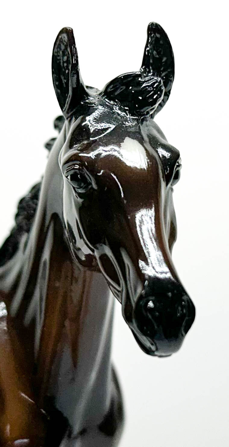 CHRISTMAS AUCTION: Gilen ~ Zenyatta's First Foal - GLOSSY w/ COA and Letter