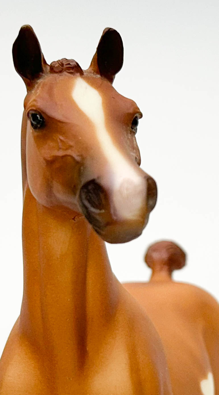 Hackney ~ Show Pony