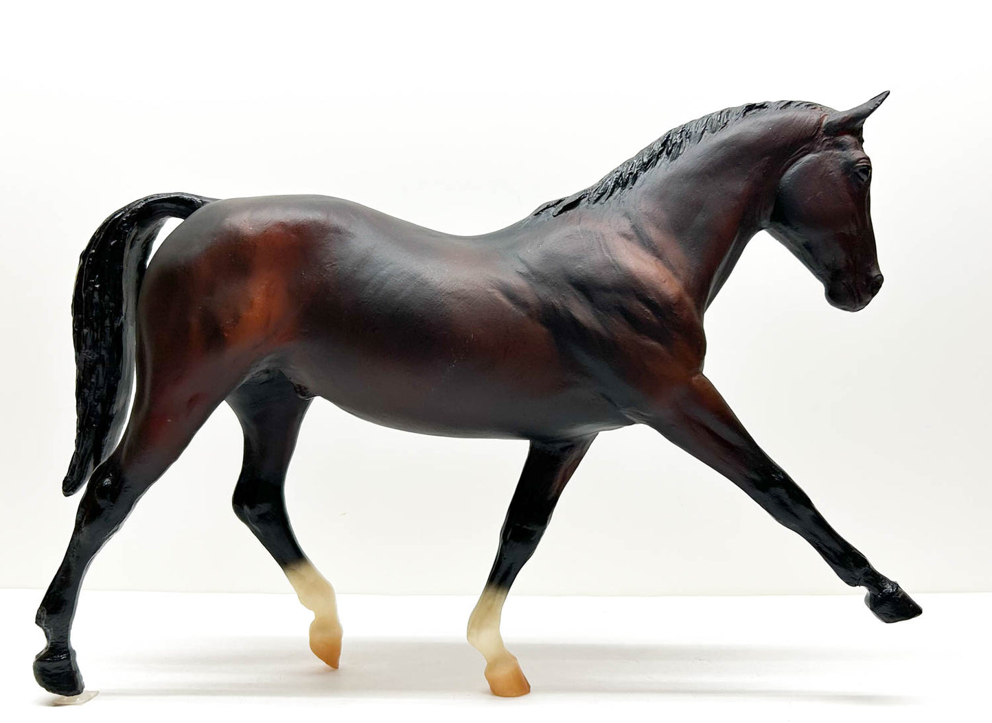 Hanoverian, Mahogany Bay - Spiegel SR