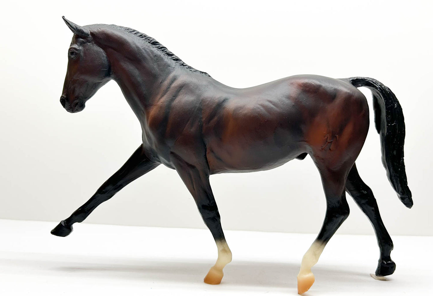 Hanoverian, Mahogany Bay - Spiegel SR