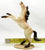 Hagen-Renaker - Rearing Mustang, Dun - Jamboree SR - Only 200 Made