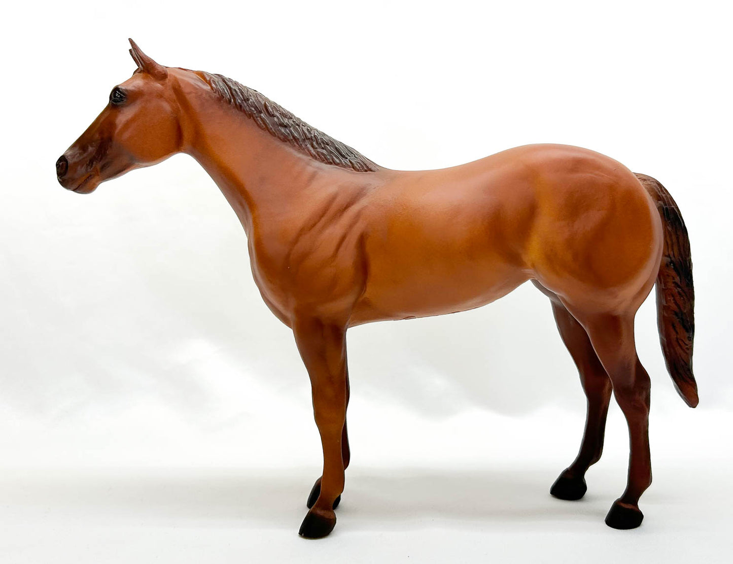 Ideal Quarter Horse ~ Progeny of Wimpy P-1