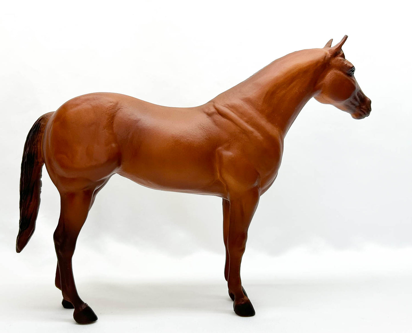 Ideal Quarter Horse ~ Progeny of Wimpy P-1