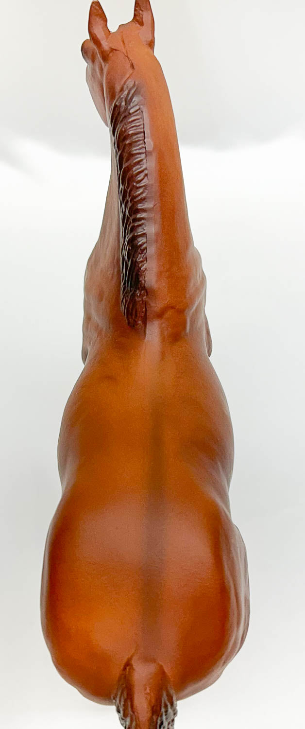 Ideal Quarter Horse ~ Progeny of Wimpy P-1