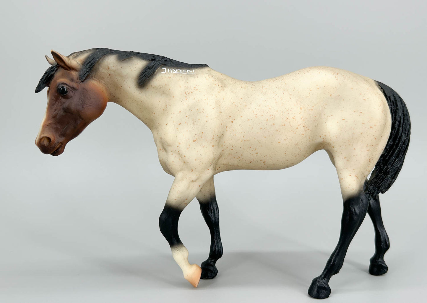 Indian Pony ~ Cheyenne