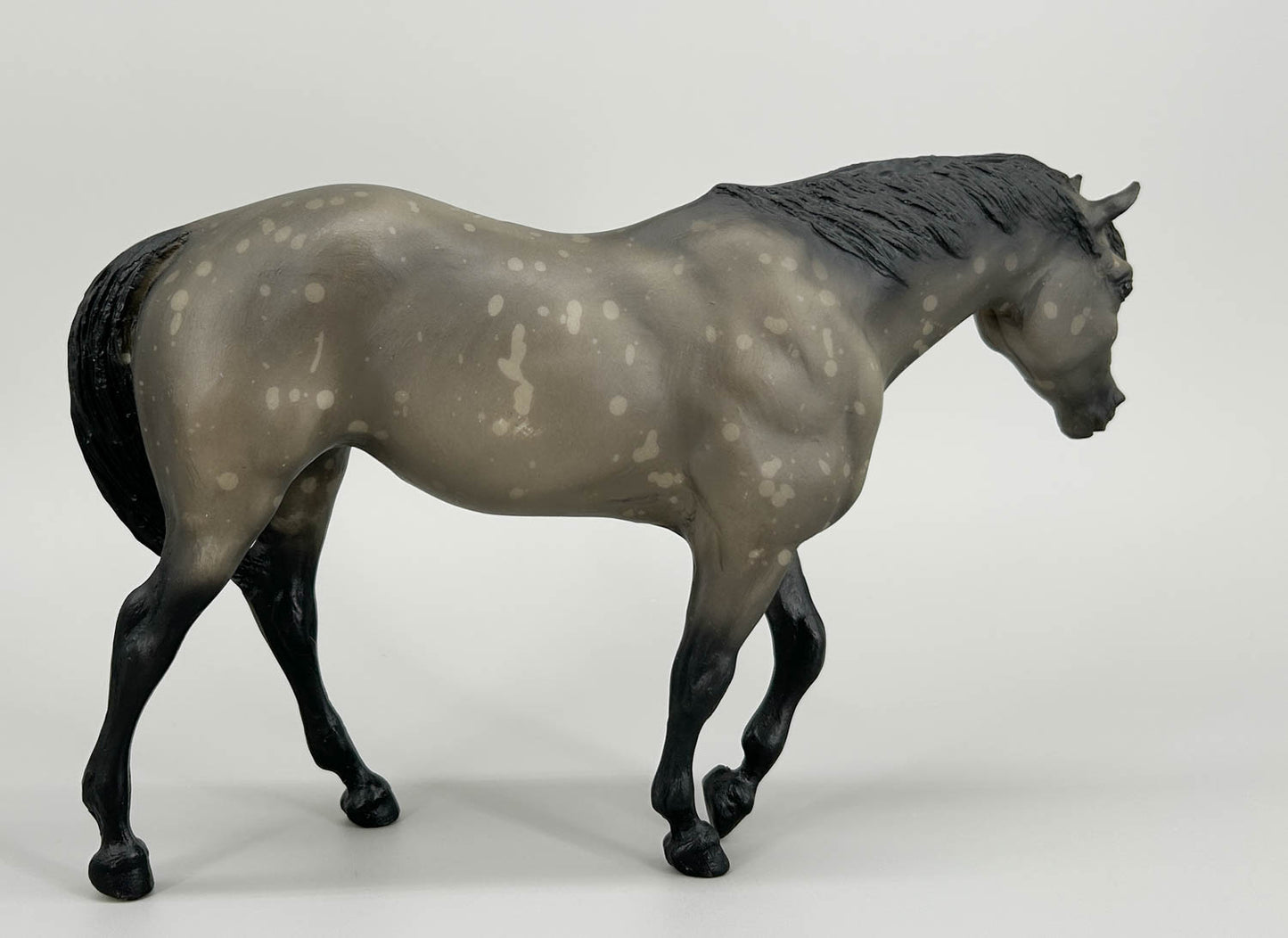 Indian Pony ~ Chinook - German Export, 750 made