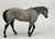 Indian Pony ~ Chinook - German Export, 750 made