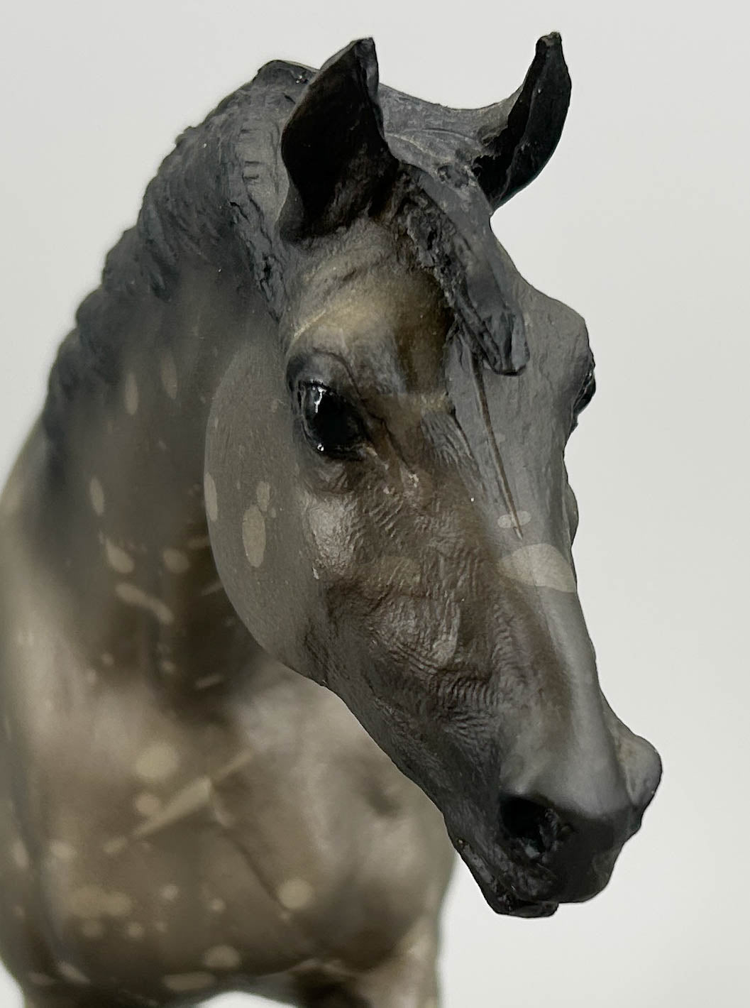 Indian Pony ~ Chinook - German Export, 750 made